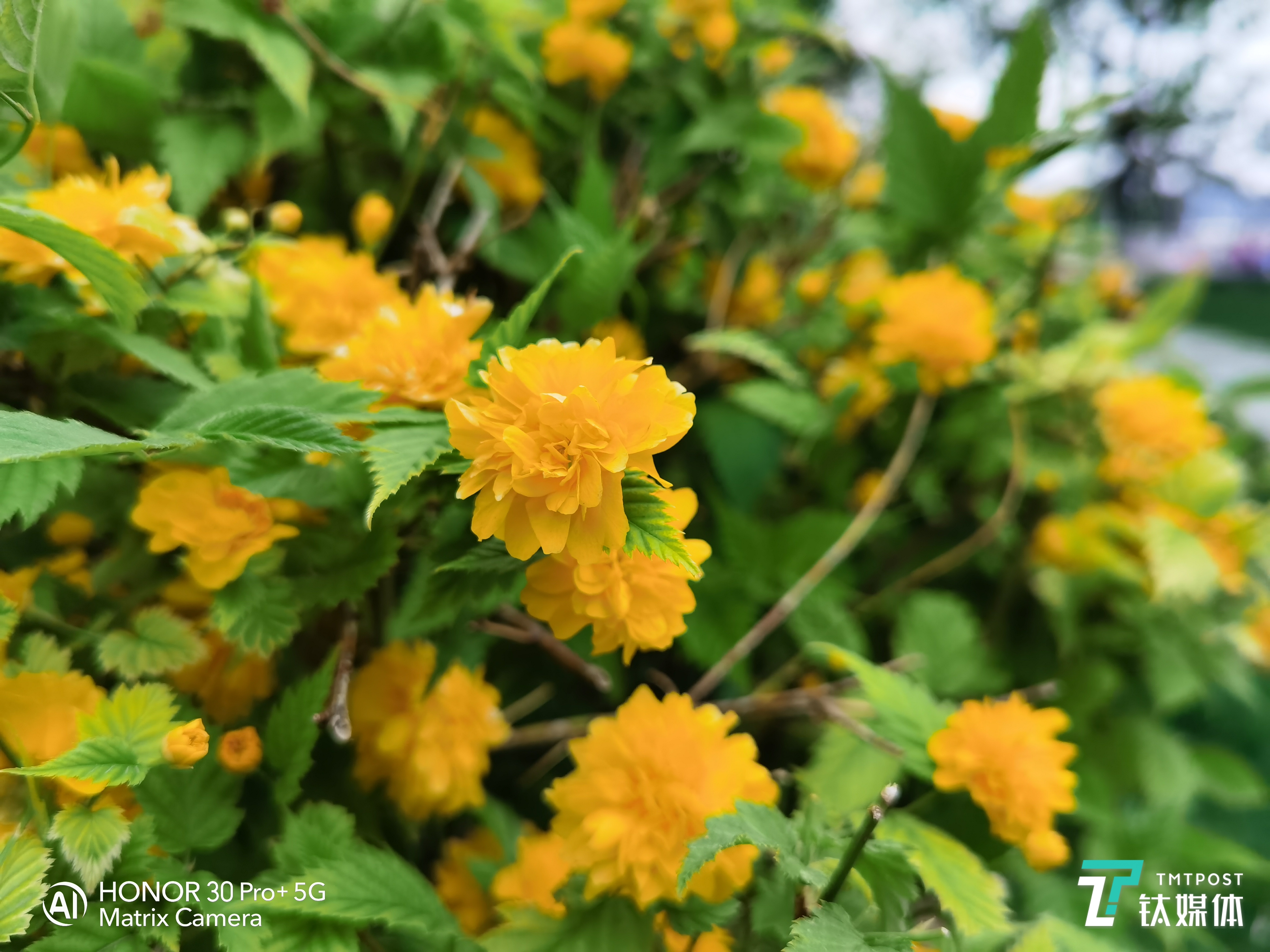 未开启微距模式