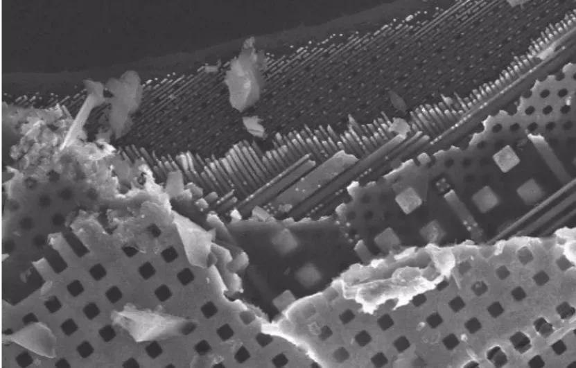 （CPU内部的层状结构，最下层为器件层，线宽最窄，即MOSFET晶体管）