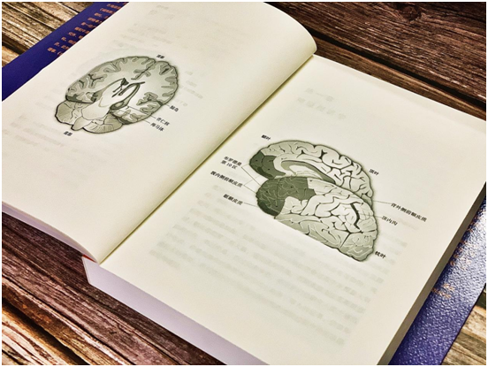 【书评】投资的怪圈：成为洞察人性的聪明投资者