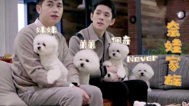 “从商业价值到吸金能力，我都输给李佳琦的狗”