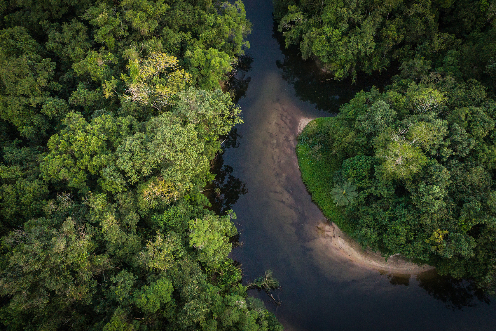 中国企业出海，拉美市场就是遍布食人鱼的亚马逊河