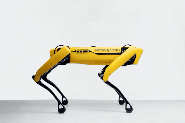 波士顿动力机器狗首次开箱：53万，我买到了啥？