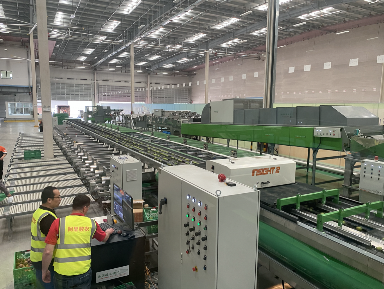 阿里巴巴数字农业广西仓内，大型水果全自动分选线