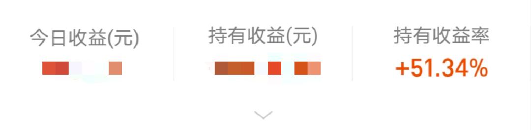 小鱼某持仓基金的收益率