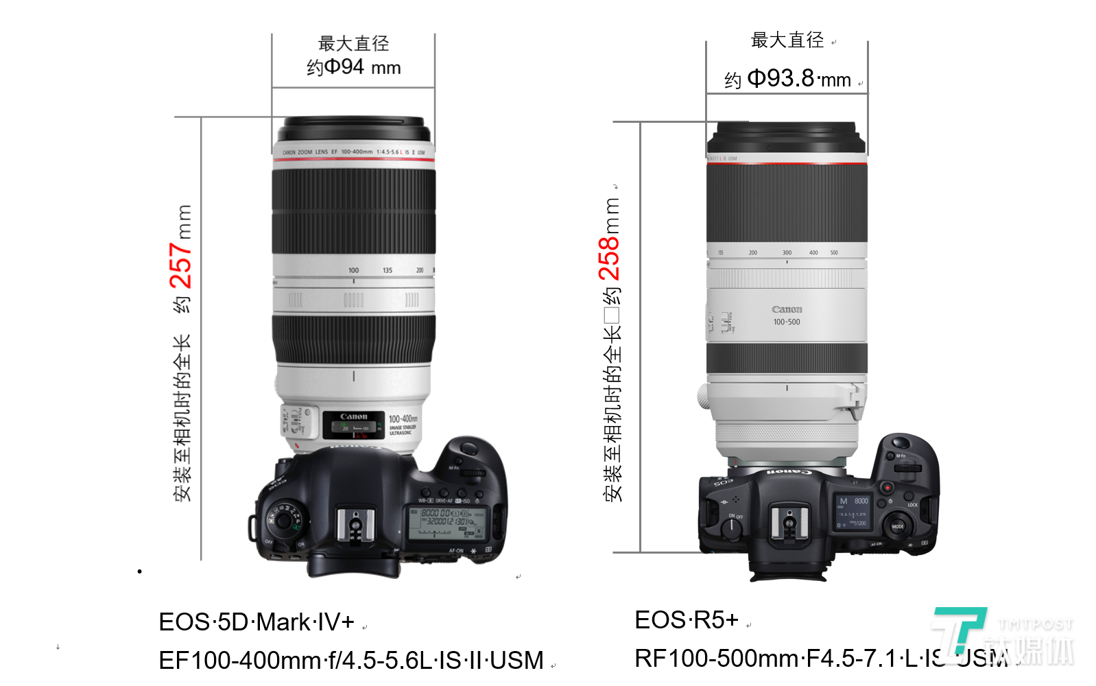 RF100-500mm F4.5-7.1 L IS USM