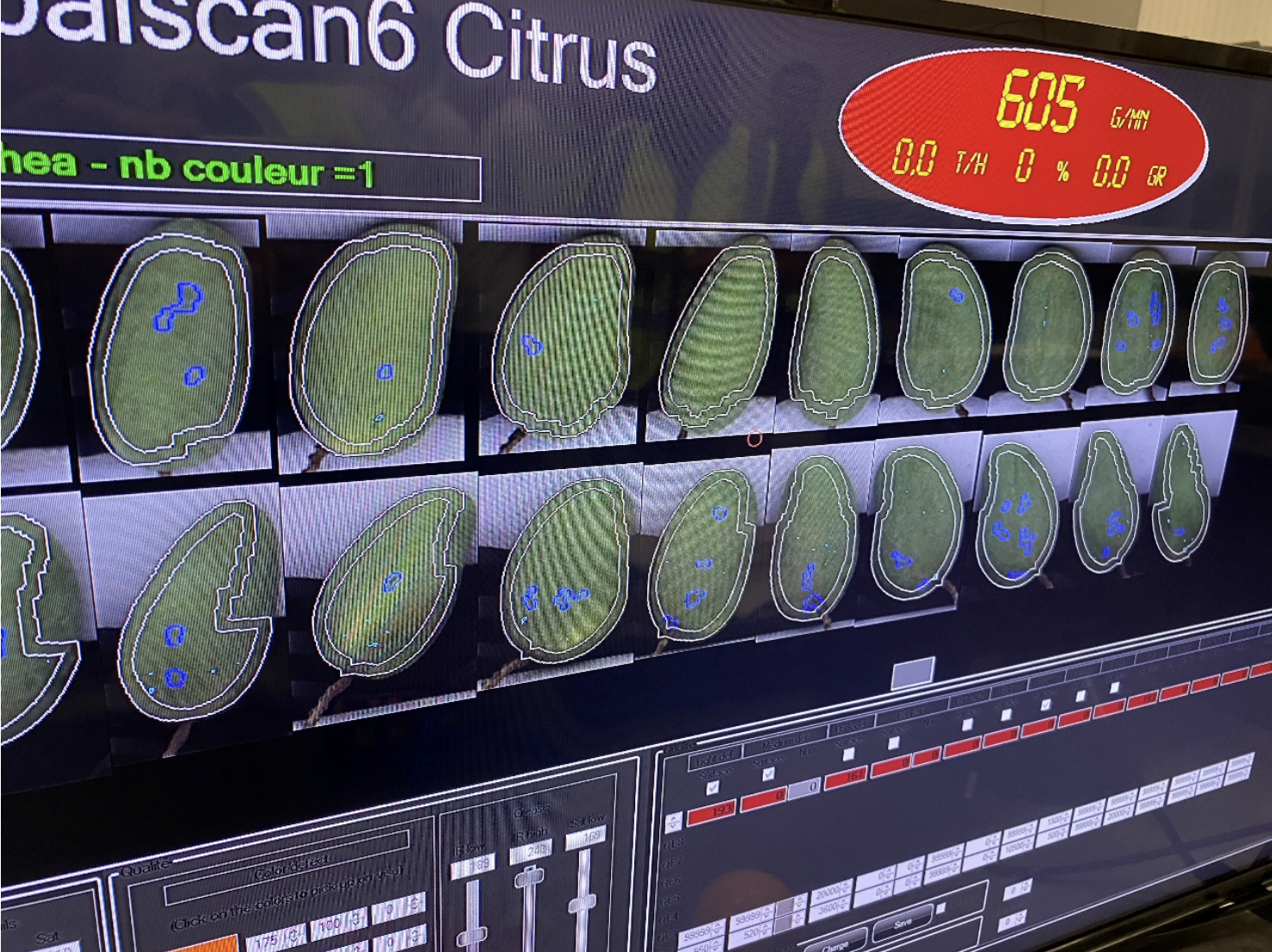 阿里巴巴广西仓内，高精度的数字化分选设备，能精准判断出水果身上有多少瑕疵