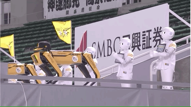 孙正义真会玩，这个「人不是人，狗不是狗」的画面，价值上千万