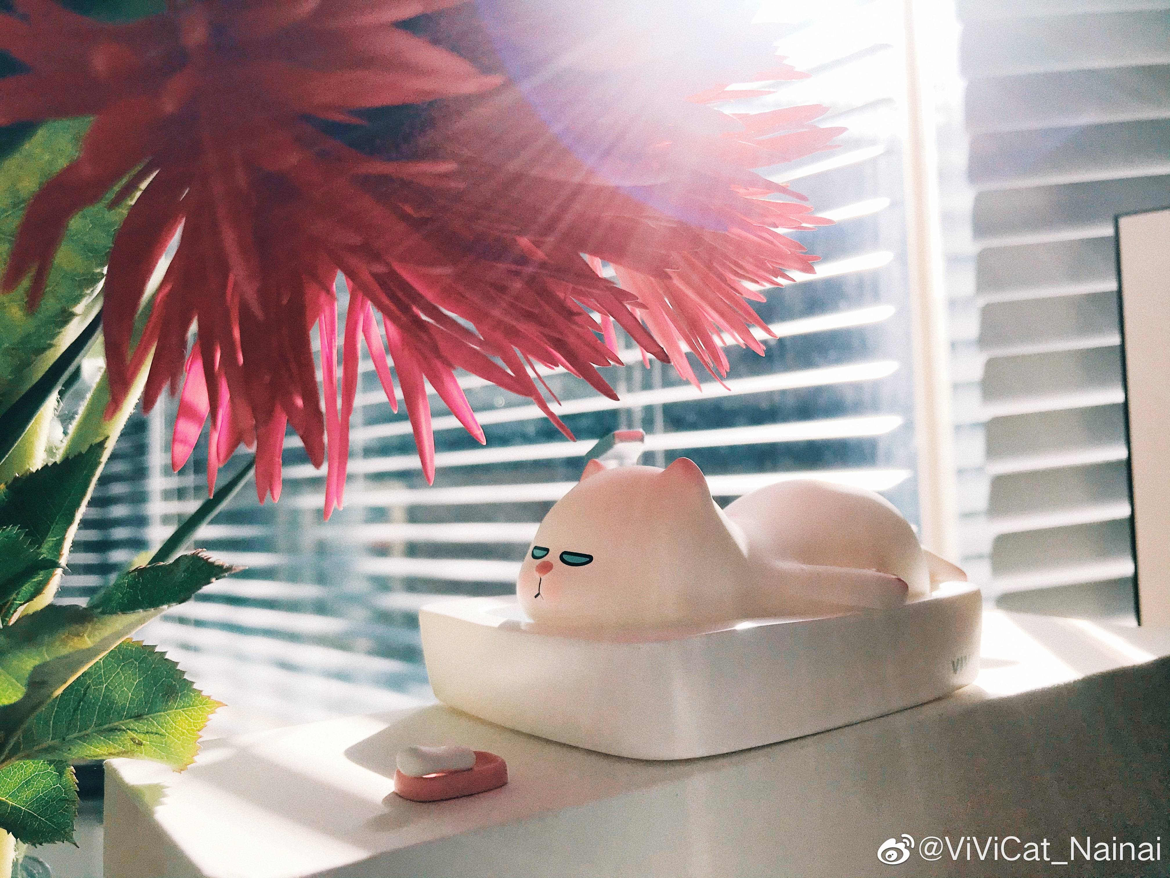 图片来源于@ViViCat 官博