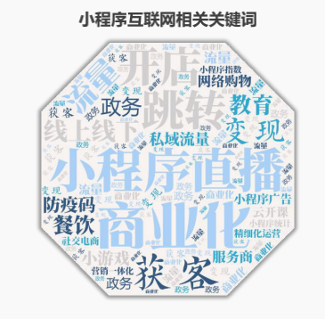 阿拉丁报告展示了半年来小程序行业的关键词