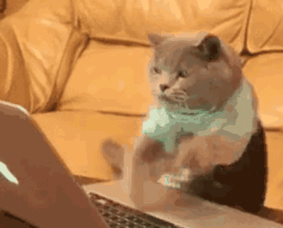 你爱看的爽文，已经被“代写”日更半年了