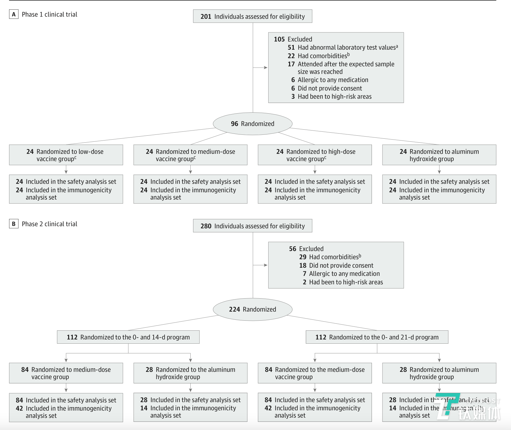 新冠灭活疫苗的筛选，随机和纳入参与的流程图（来源：论文）