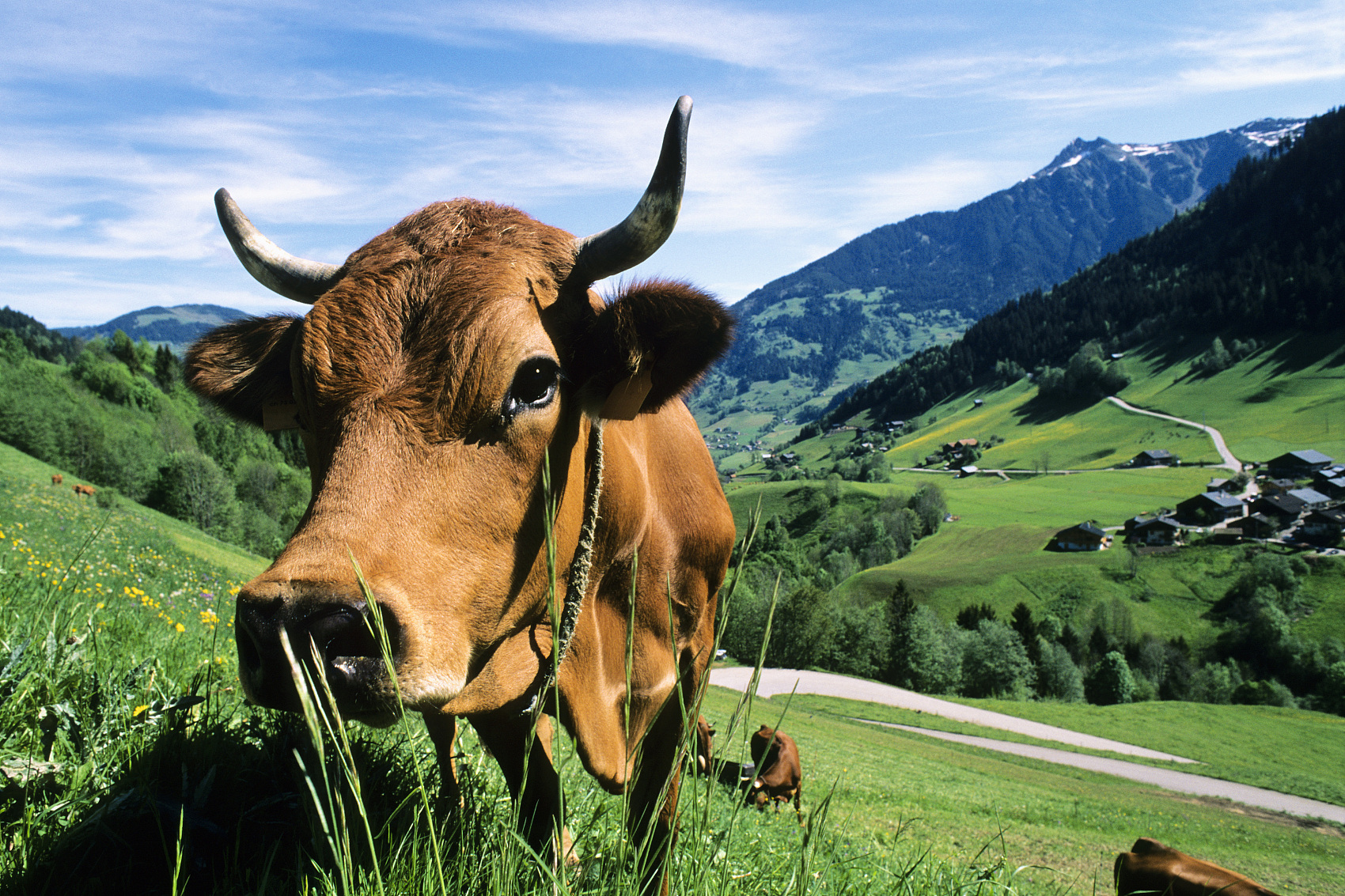 激活消费，牛市必不可少