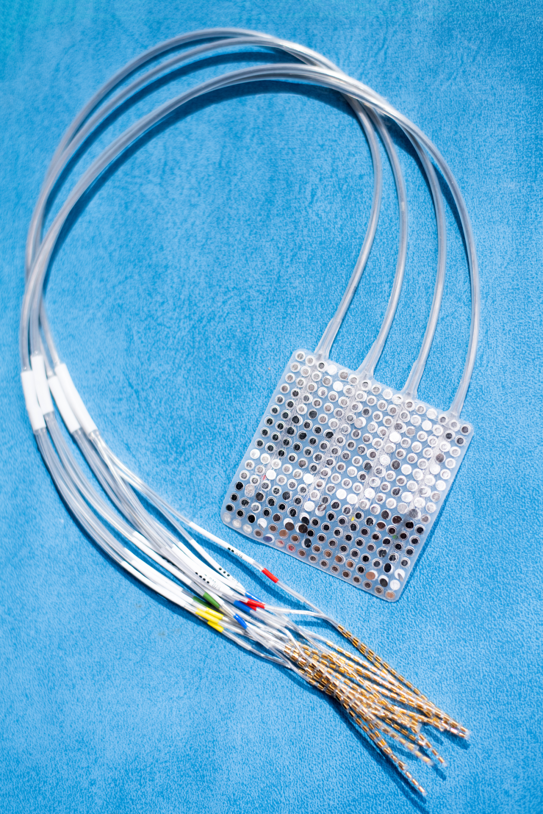 电图(ecog)阵列包括一个便利贴大小的电极垫,通过手术放置在大脑表面