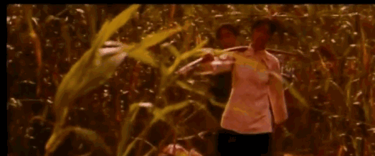 图：电影《红高粱》里巩俐挑扁担的镜头