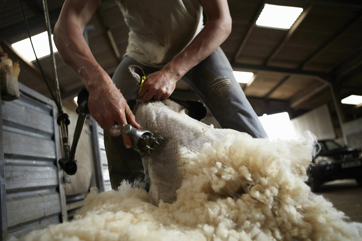 被掏空的“吃土人”，又开始养活代下单生意？