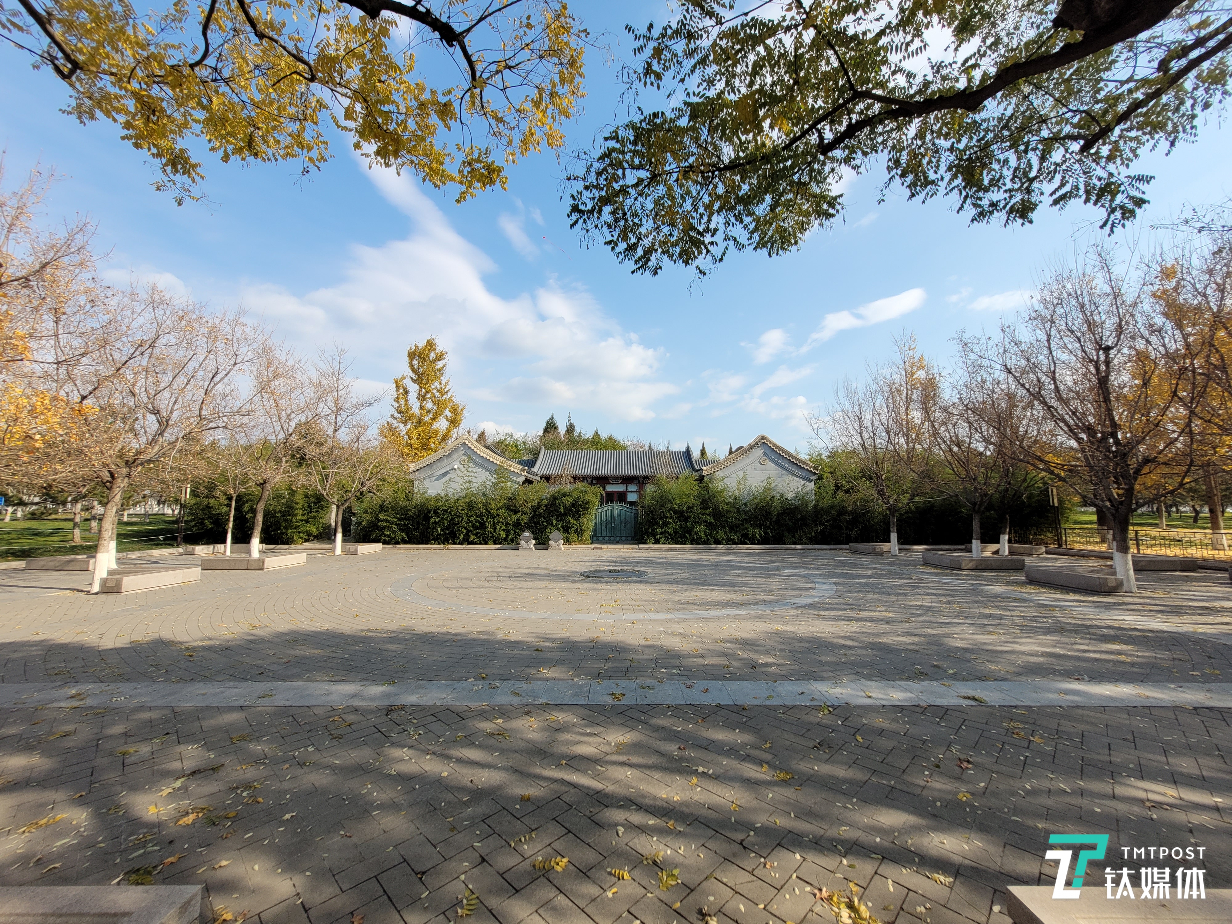 Galaxy S20 FE 5G-超广角样张3