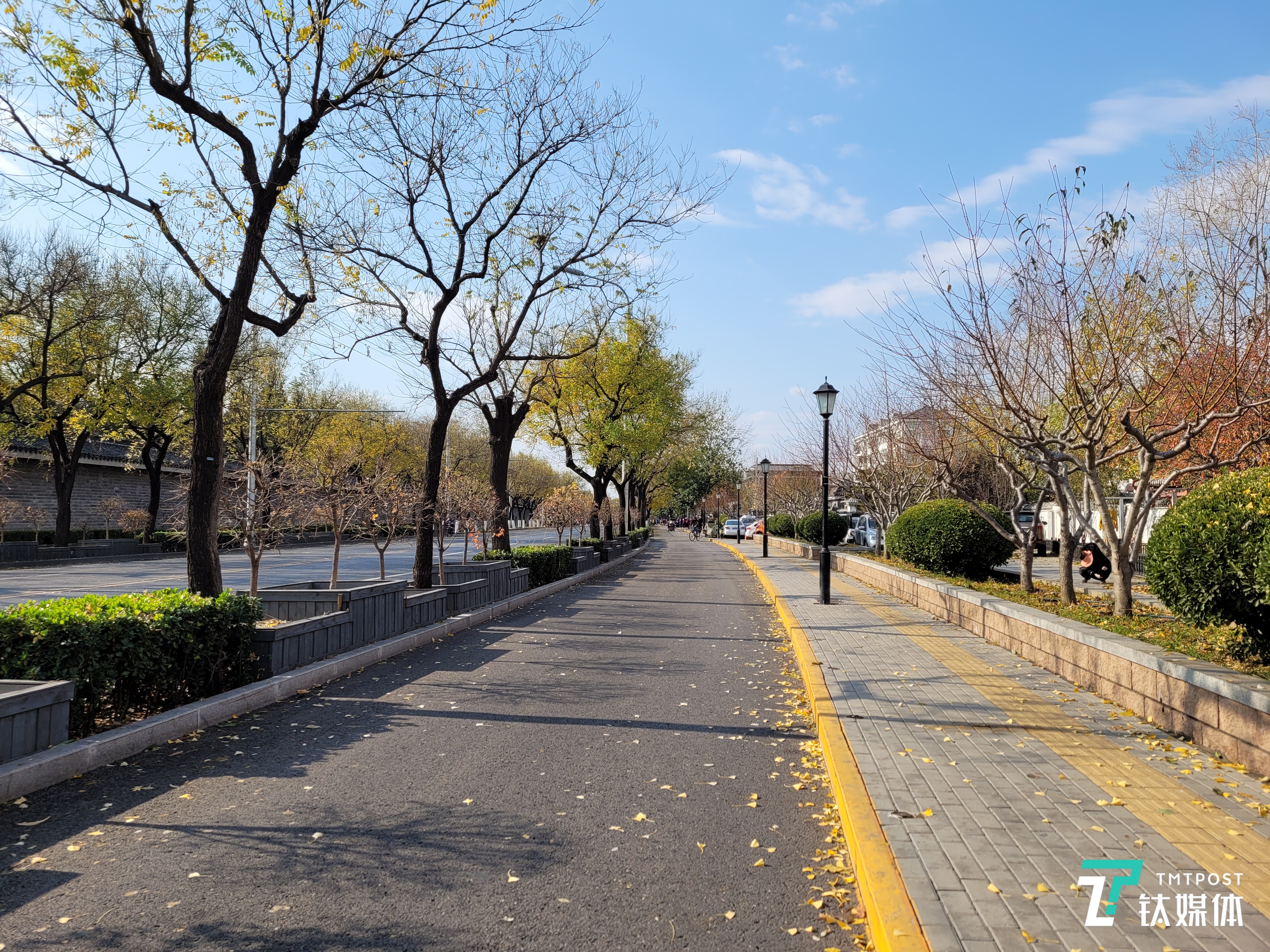 Galaxy S20 FE 5G-主摄样张2