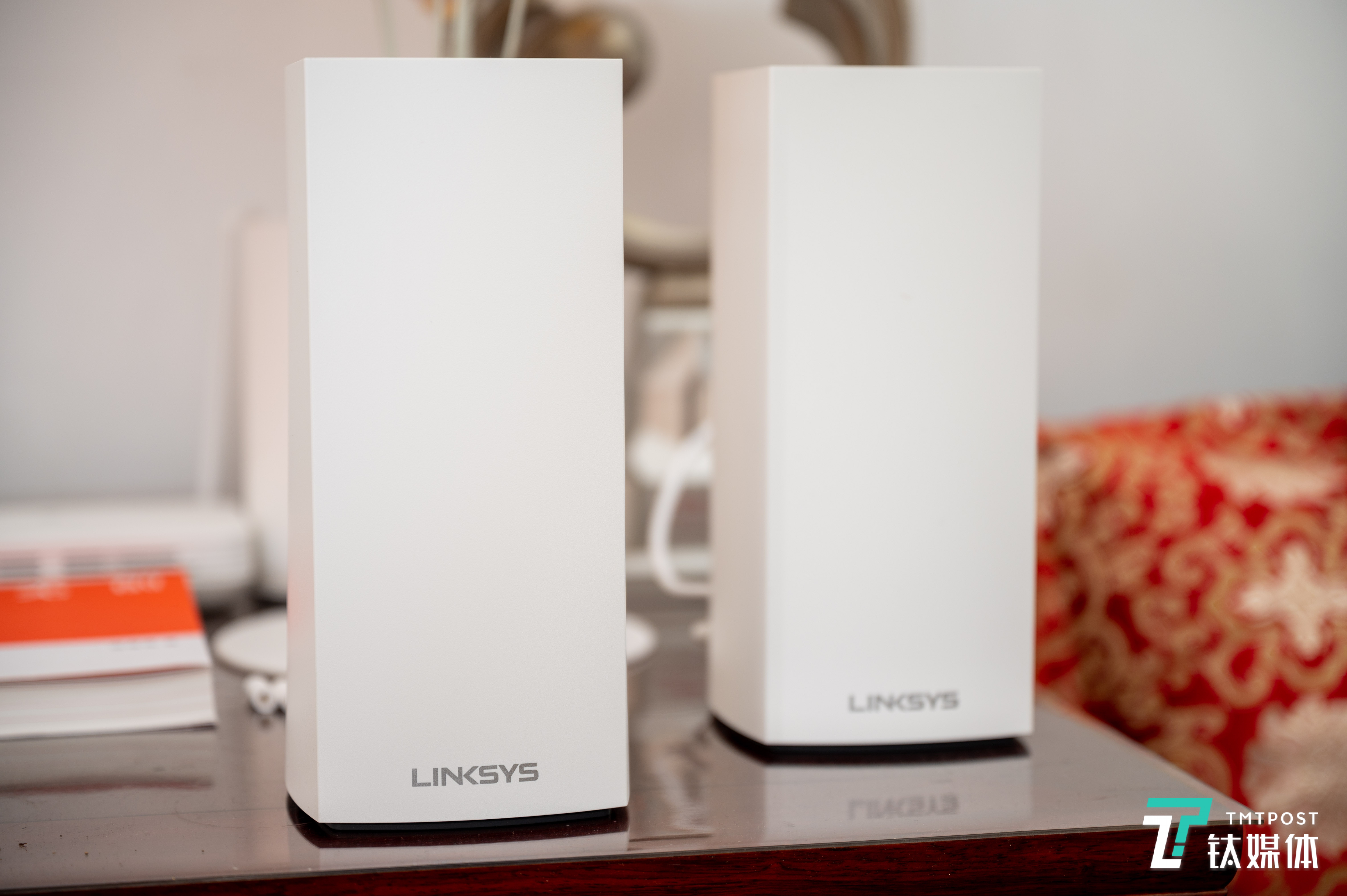 一次购入了两只