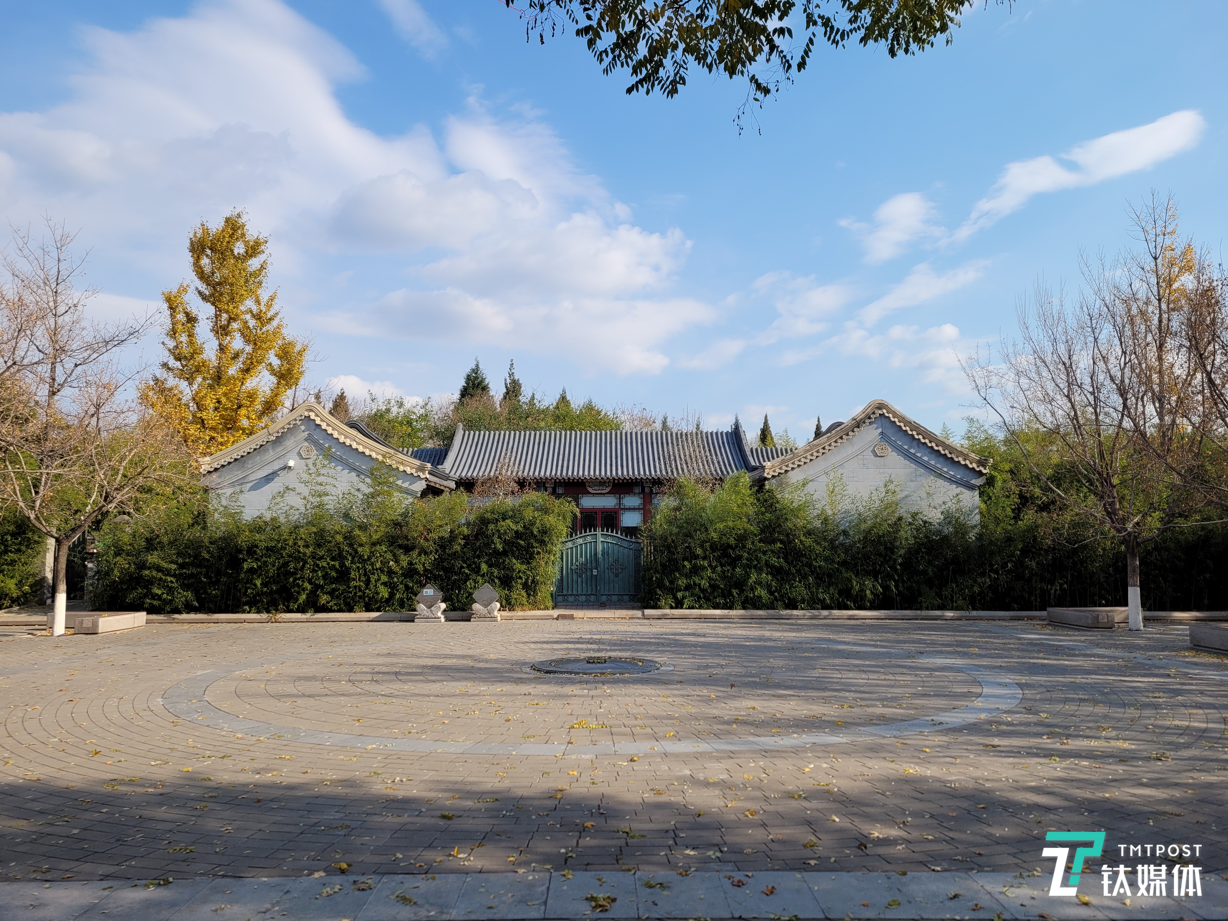 Galaxy S20 FE 5G-主摄样张4