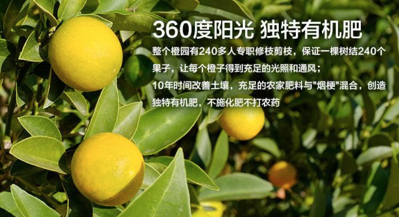 &ldquo;限制性生产&rdquo;是褚橙的标签之一&nbsp; 来源：本来生活官网