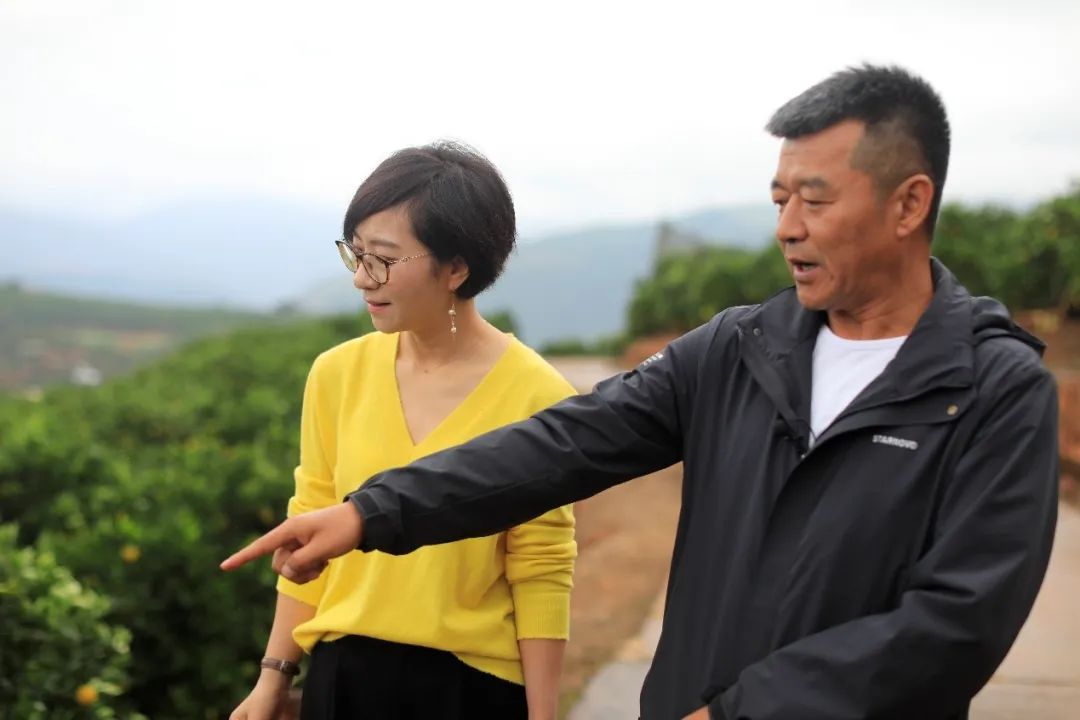 后褚时健时代：如何变成一群人的褚橙