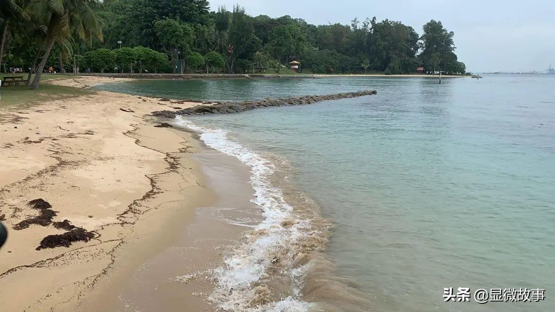 地铁挤满“银发打工人”、码农赚得不如KTV服务员，我在国外当社畜