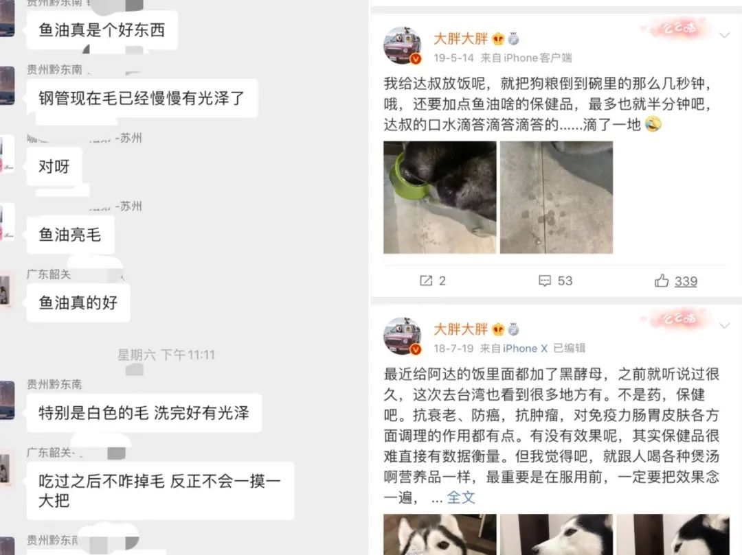 养宠交流群和萌宠博主常会提及宠物营养品