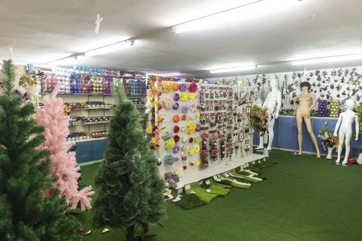 图片来源@视觉中国