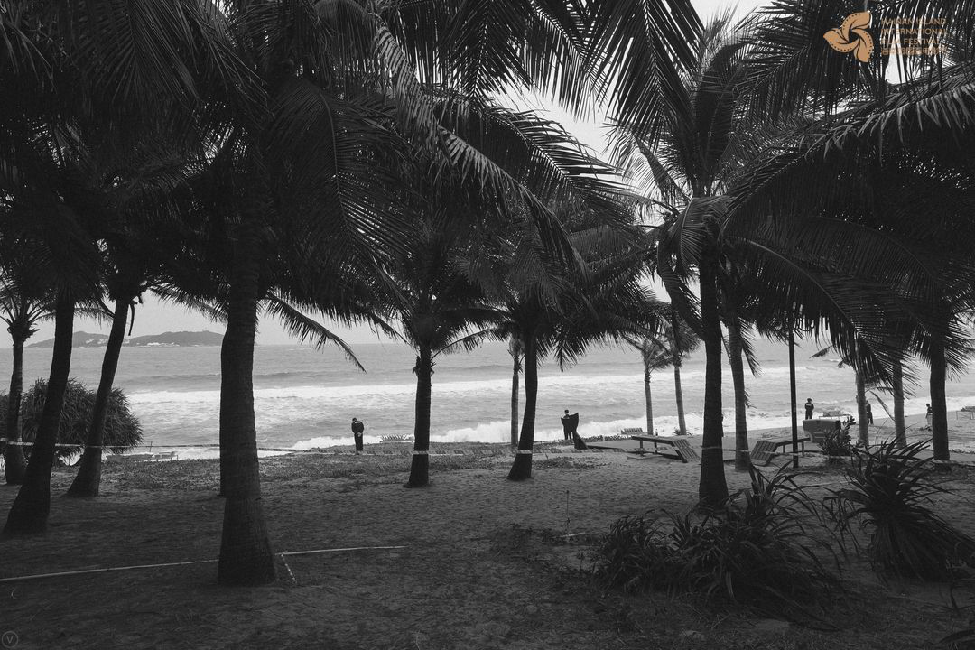 一场年终的电影聚会