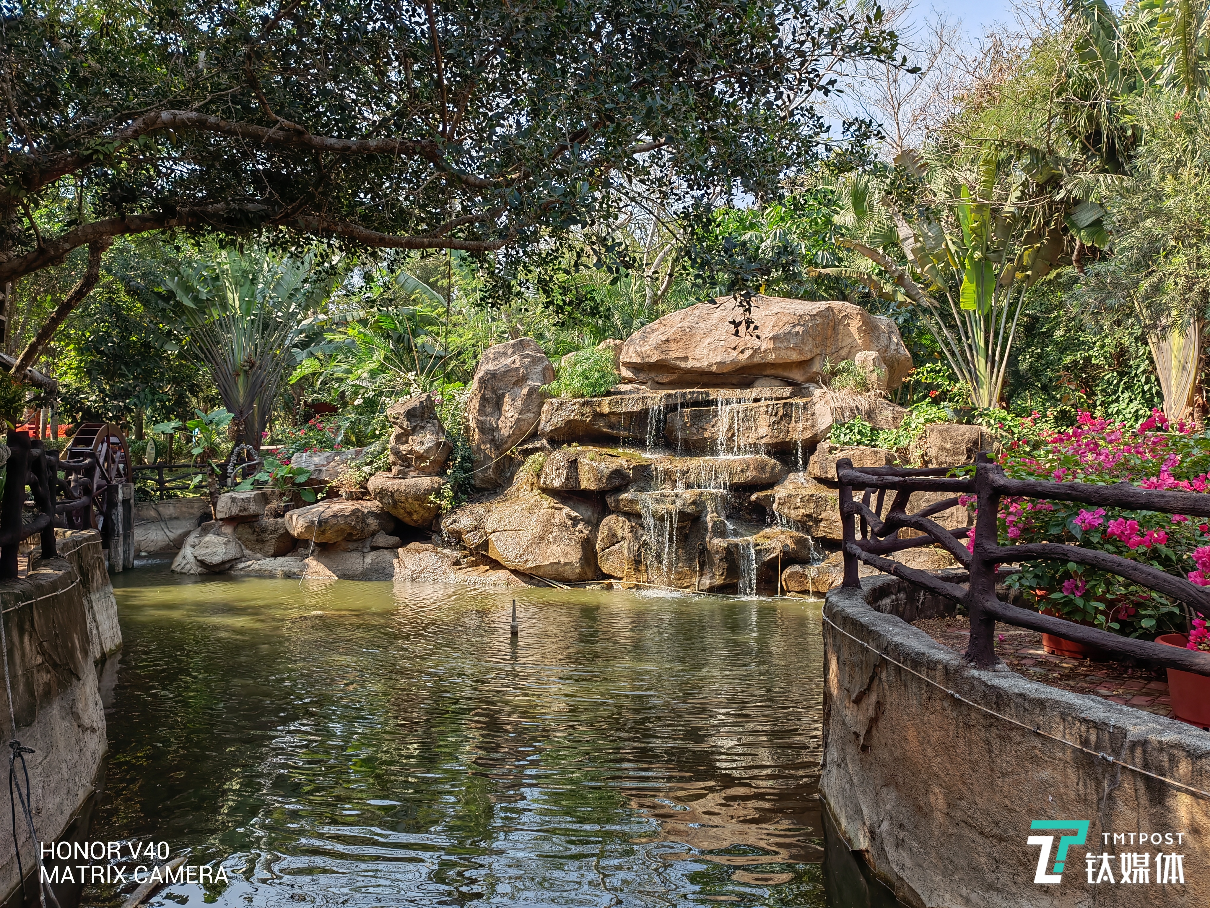 荣耀V40-主摄样张3