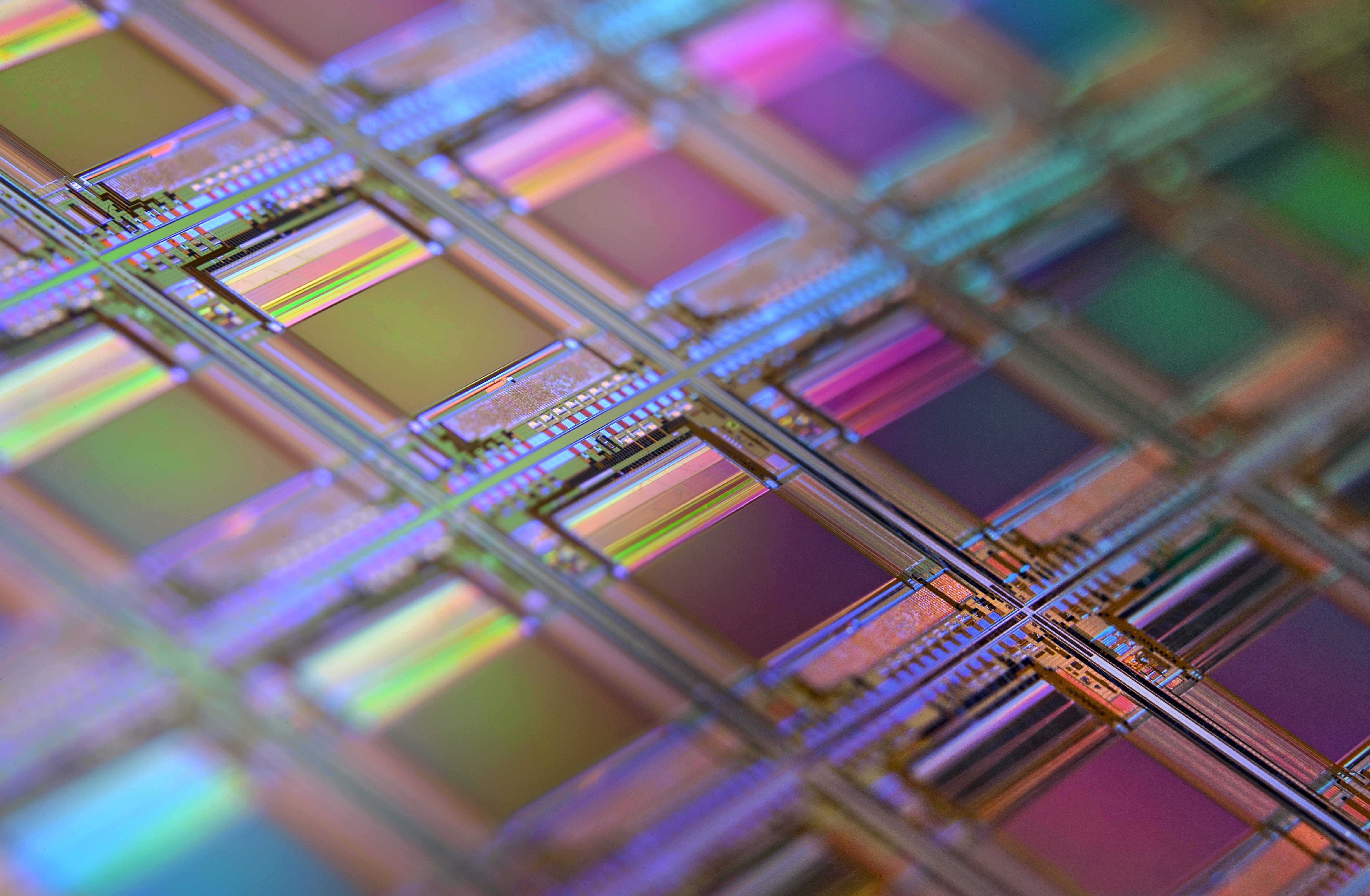 Silicon Chips（图片来源：Unsplash）