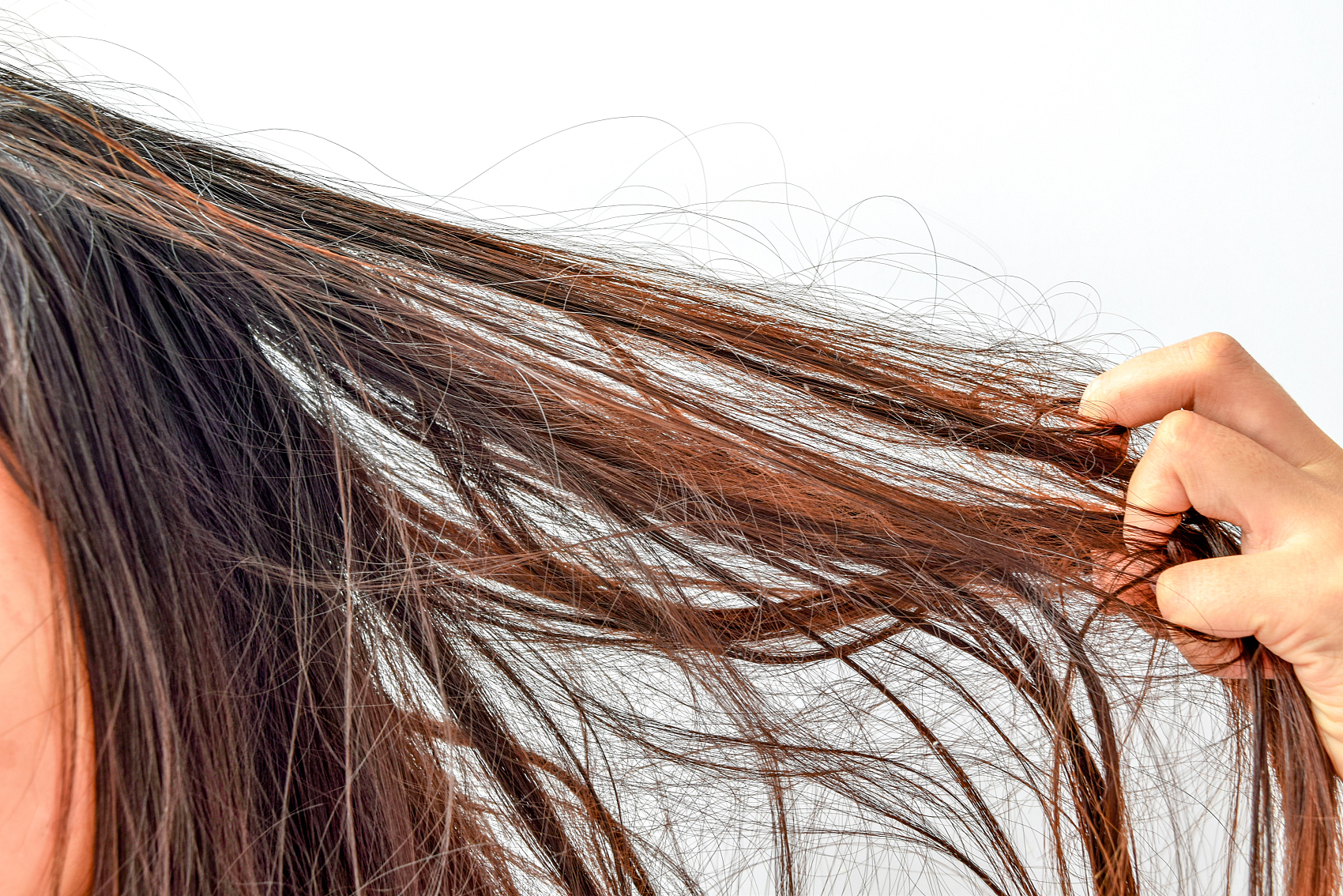 图片来源@视觉中国