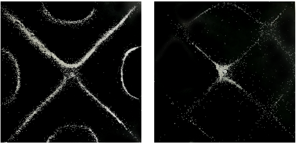 克拉尼图形  图源：Thomas Forrister 文章《克拉尼板如何让你&ldquo;看见&rdquo;声音？》