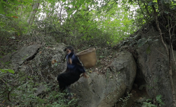 （来自李子柒视频截图）