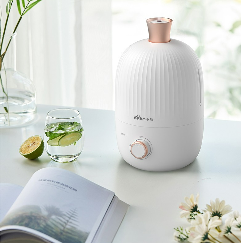 图片来源@小熊官网