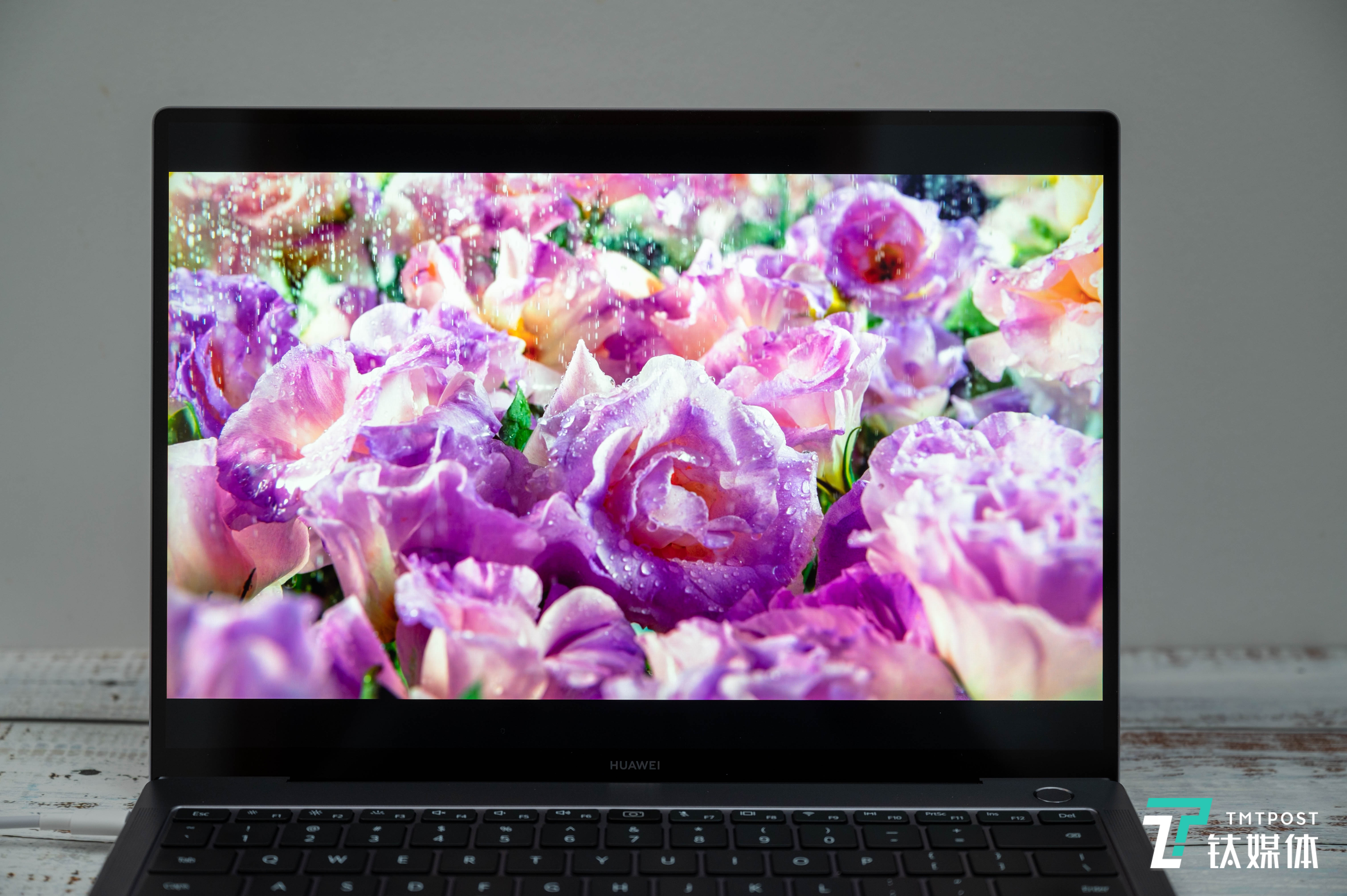 屏幕色彩表现力不错