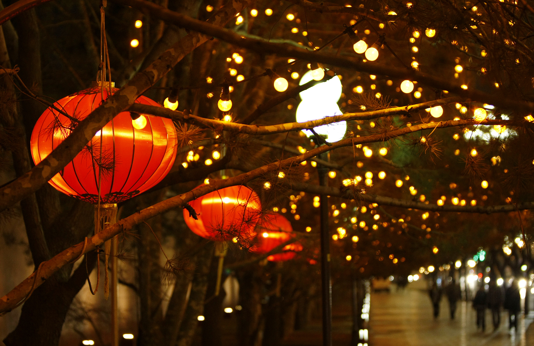 一人食年夜饭，他们将思乡之情“打包收藏”