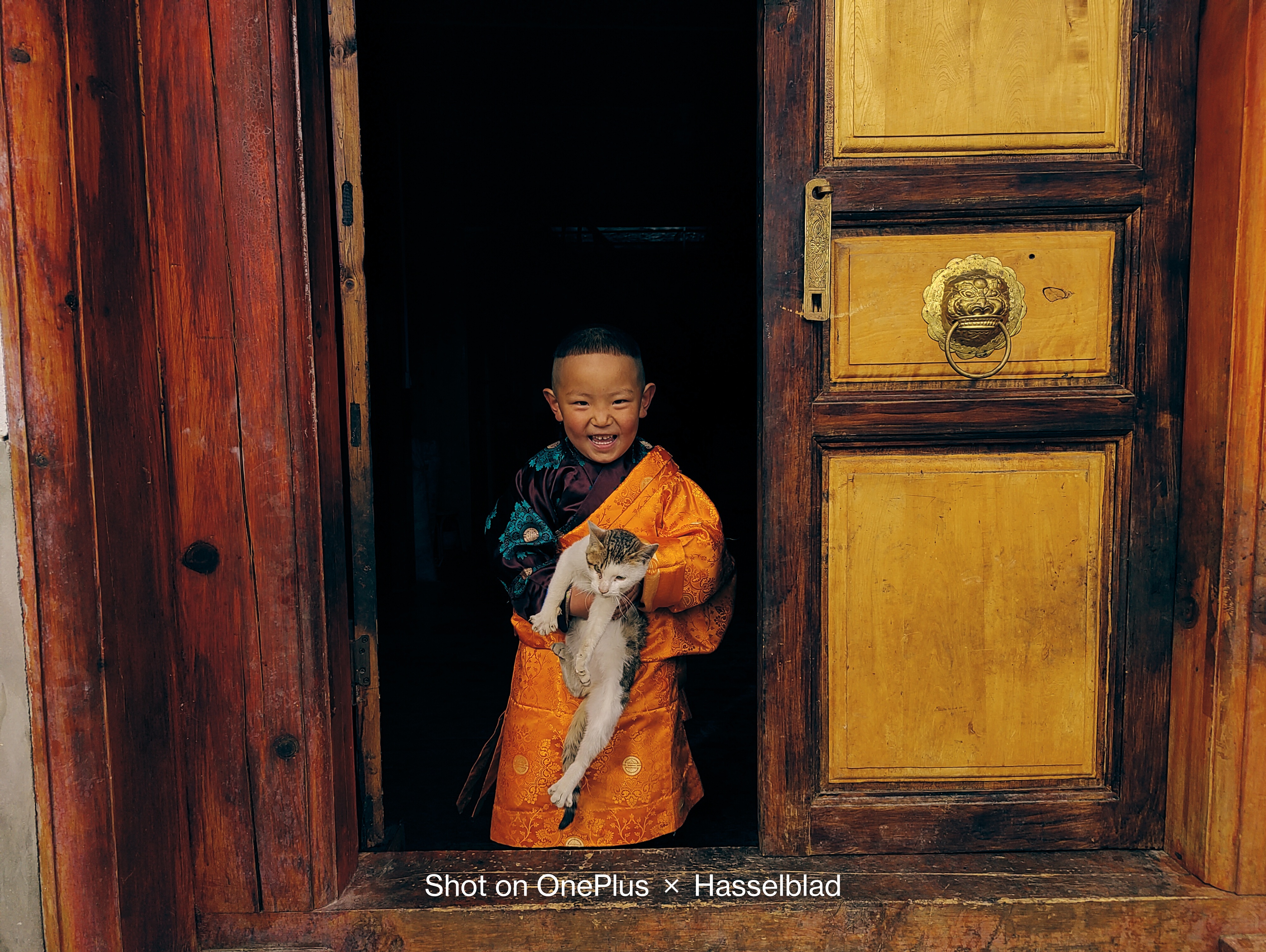 手机摄影成为大众关注点