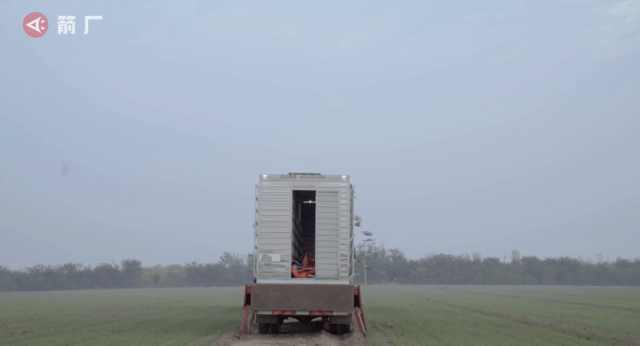 奖金上亿的赛鸽江湖 ：身价一千万的鸽子长啥样？