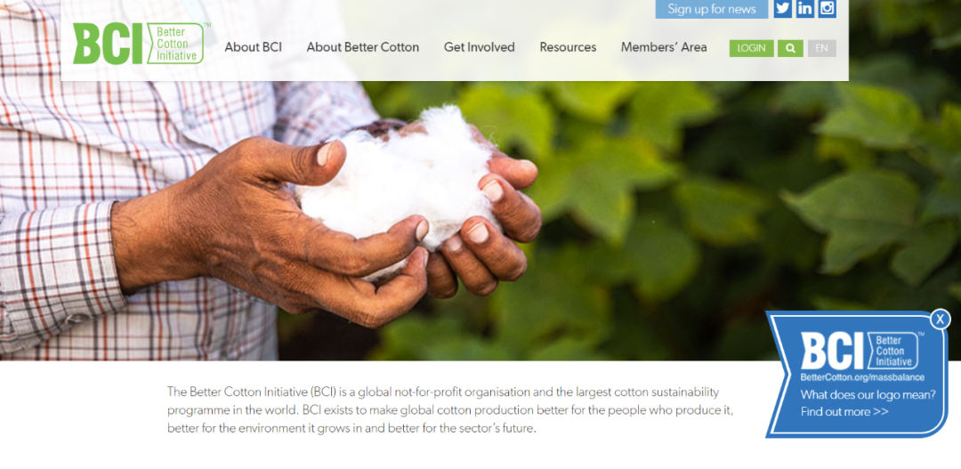 施展：再论BCI的事实/价值判断，及当下困境的解套脑洞