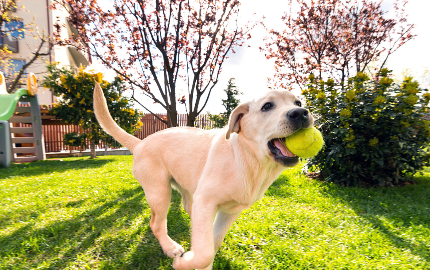 图片来源@视觉中国