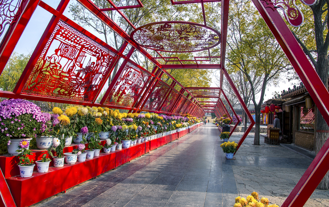 图片来源@视觉中国