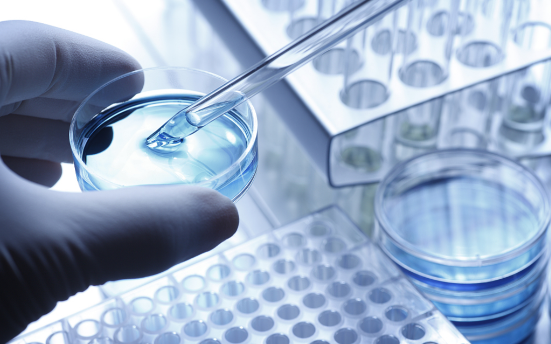 图片来源@视觉中国