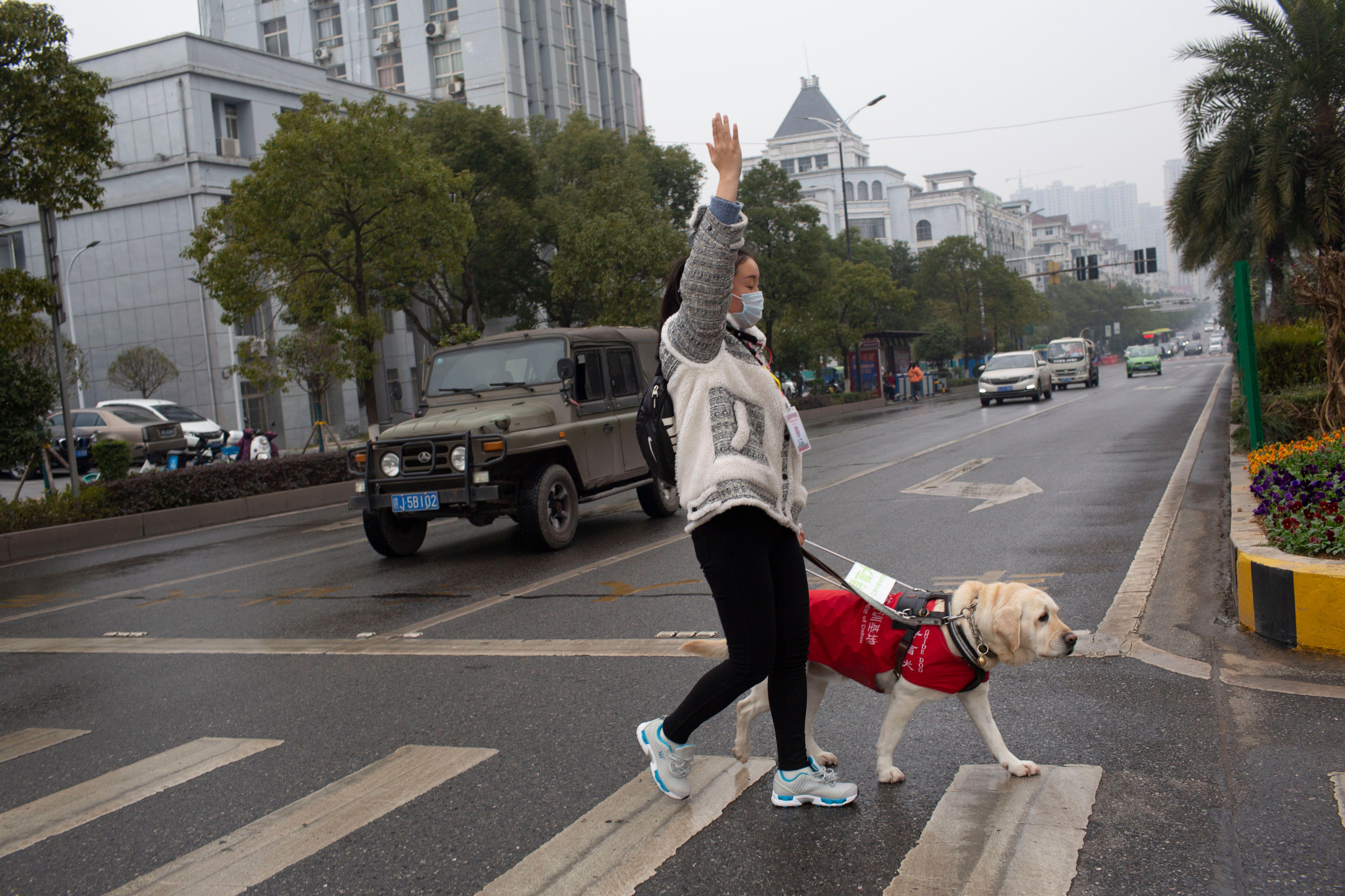 婷仙与爱莎过马路