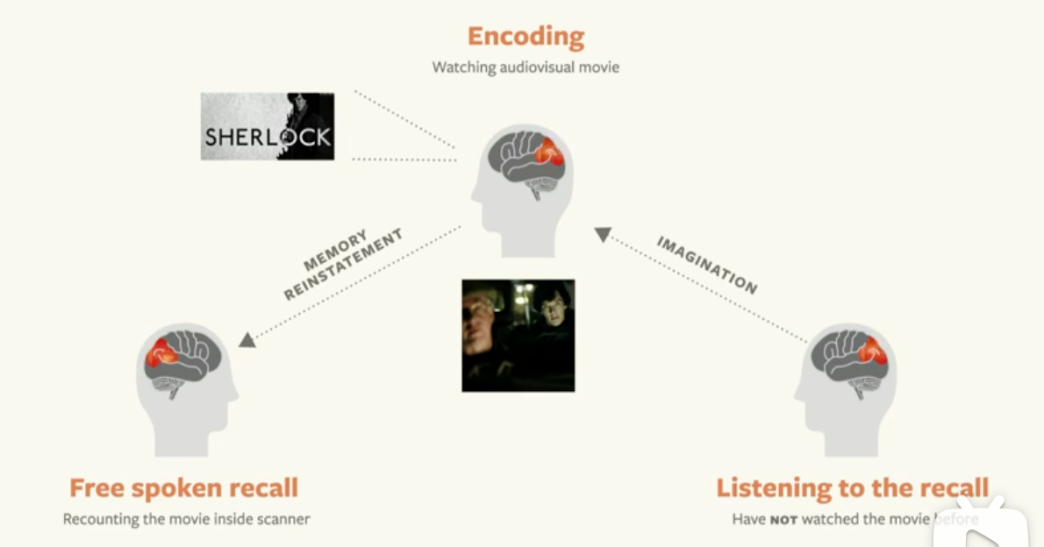 神经学家Uri Hasson从生理角度解读故事对于大脑的影响