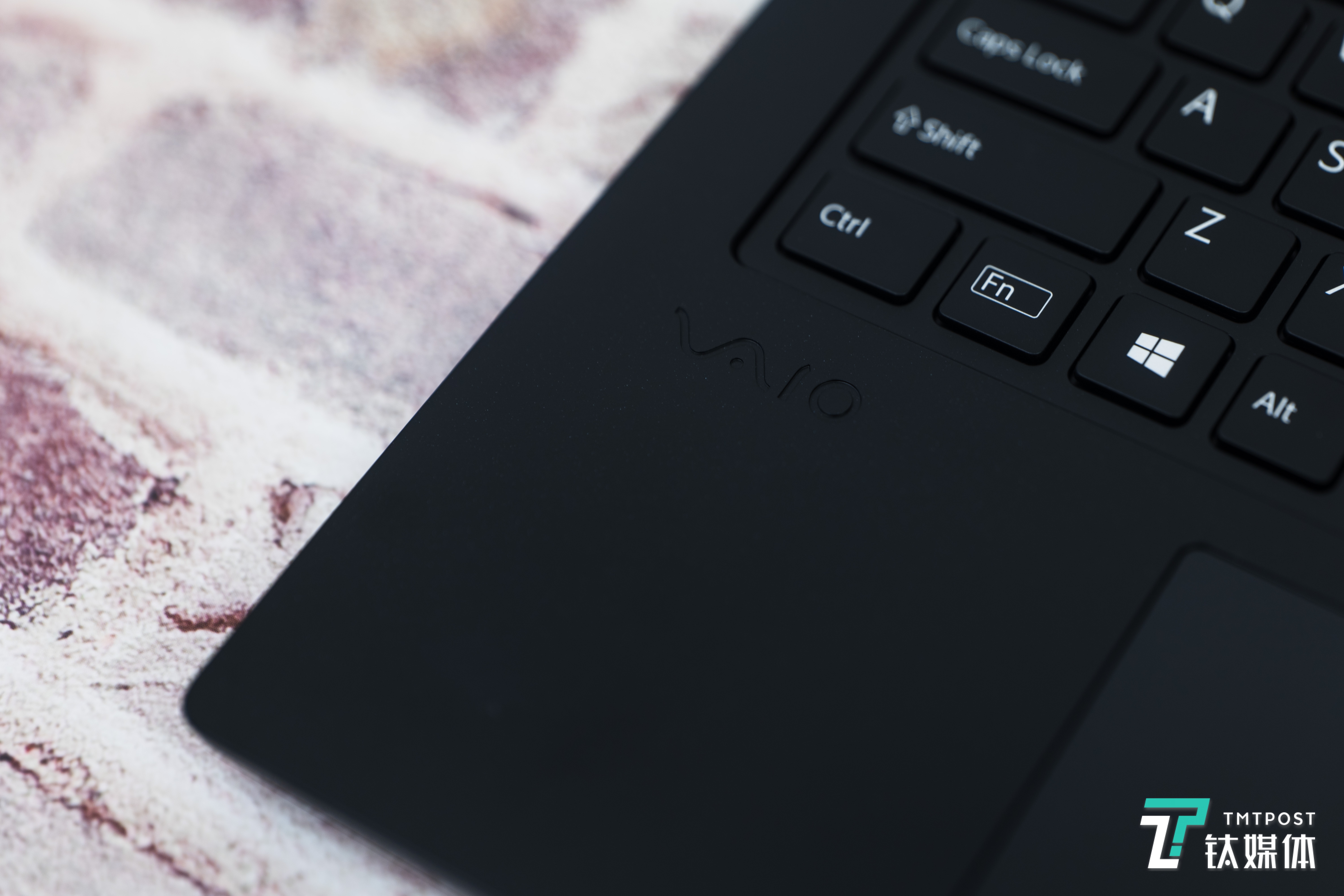 掌托处VAIO品牌Logo