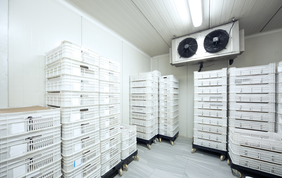 图片来源@视觉中国