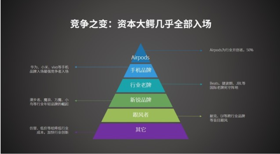 图片来源：耳机之家  《2020耳机市场竞争之变 资本大鳄几乎全部入场》