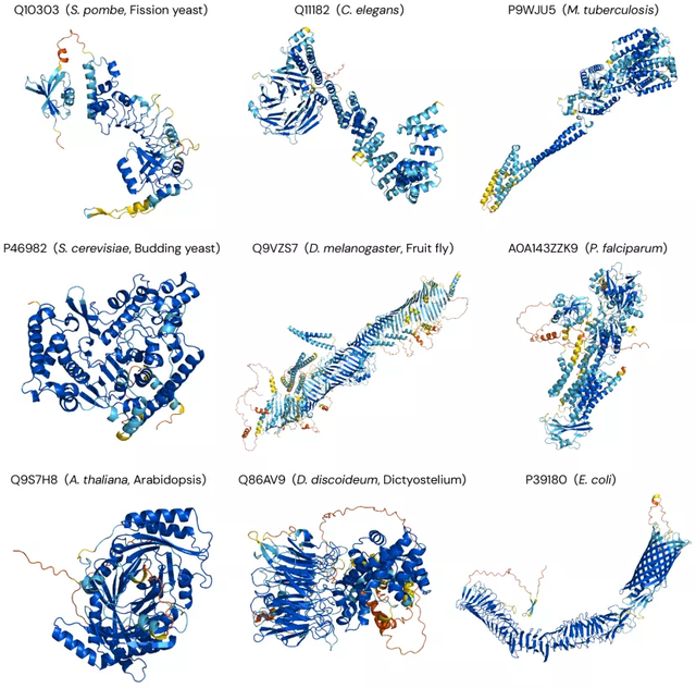 AlphaFold2爆火背后，人类为什么要死磕蛋白质？