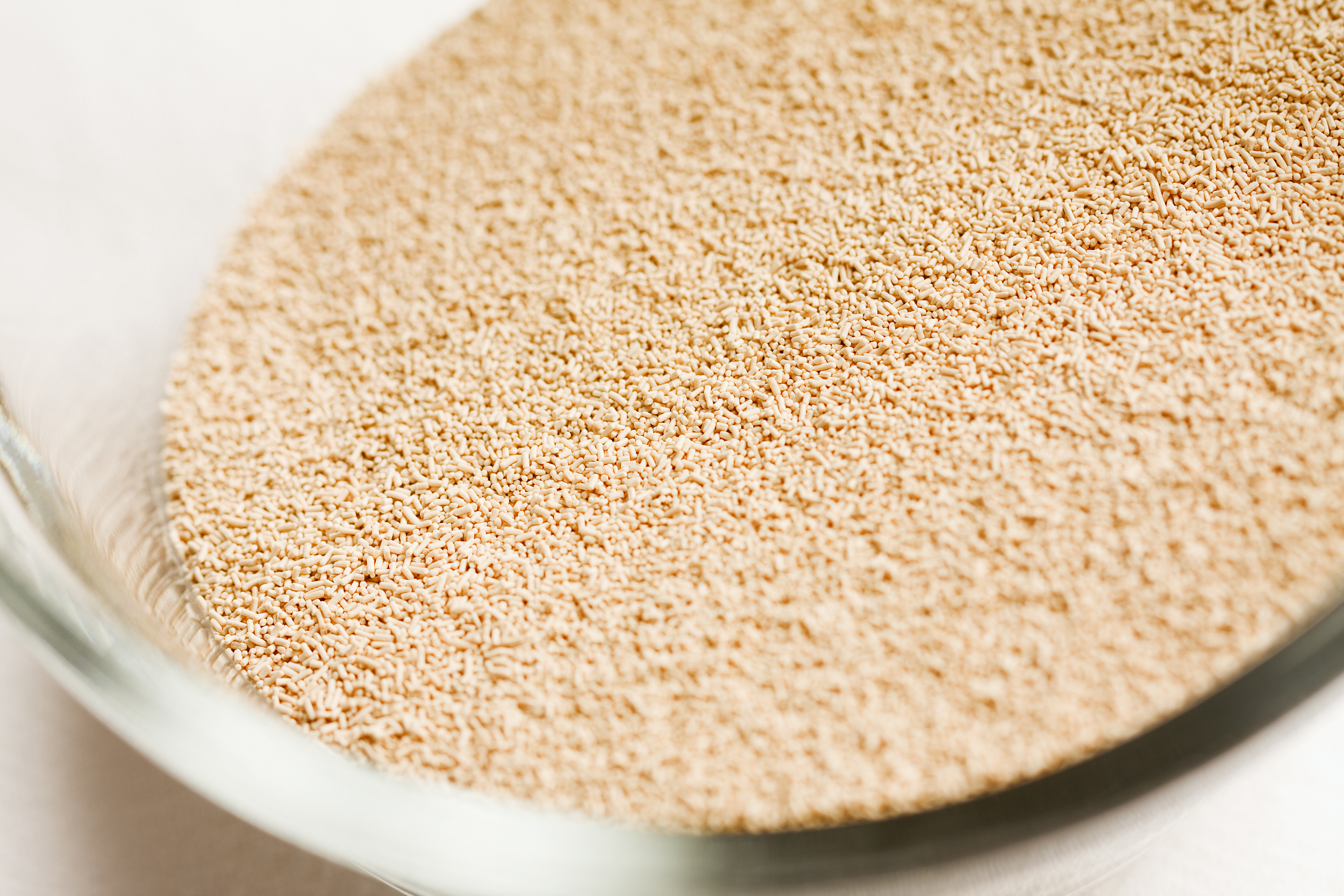 安琪酵母，抄底俄罗斯